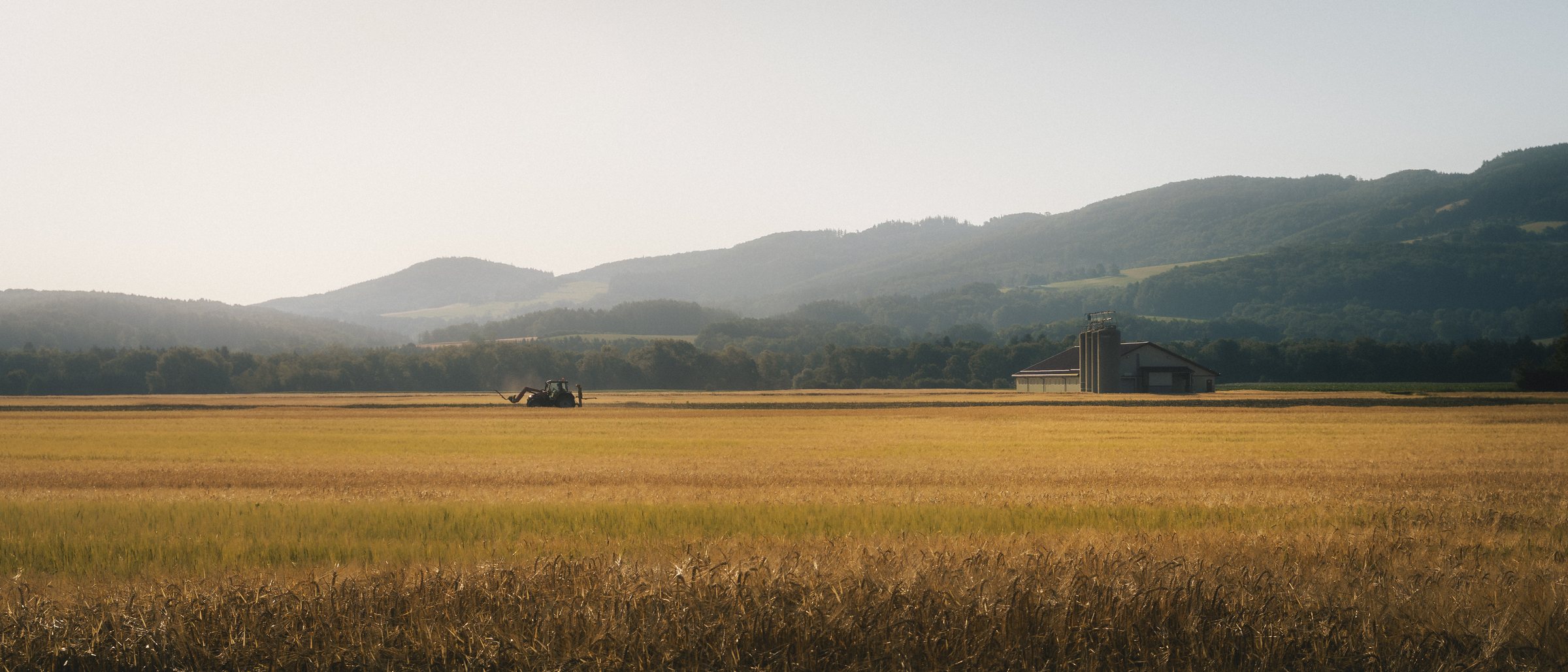 Warm summer fields and a farm beneath layered hills