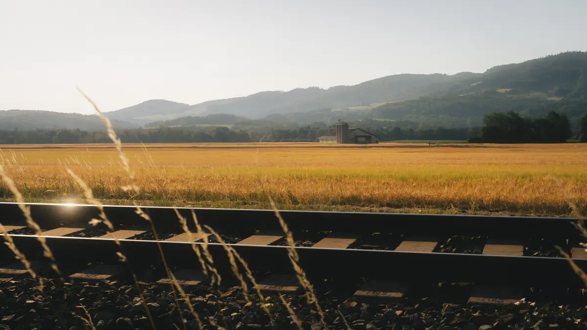 Farm 10