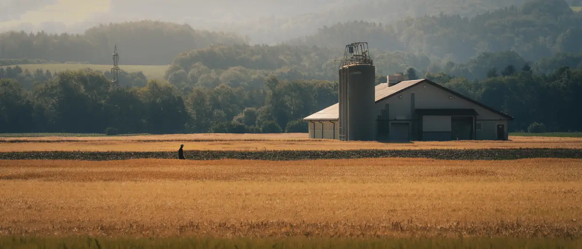Farm 22